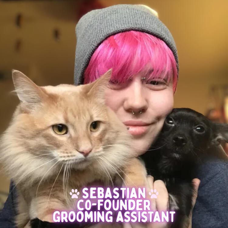 Accrued three years of dog bathing experience, along with volunteer work in a cat shelter and hands-on experience with feral cats. Now mentoring to become a pet groomer.